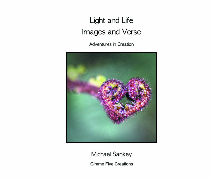 cover of book