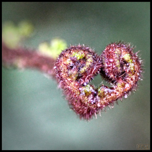 image love in different places